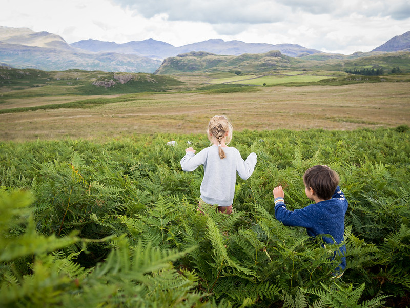Western Lake District landscape